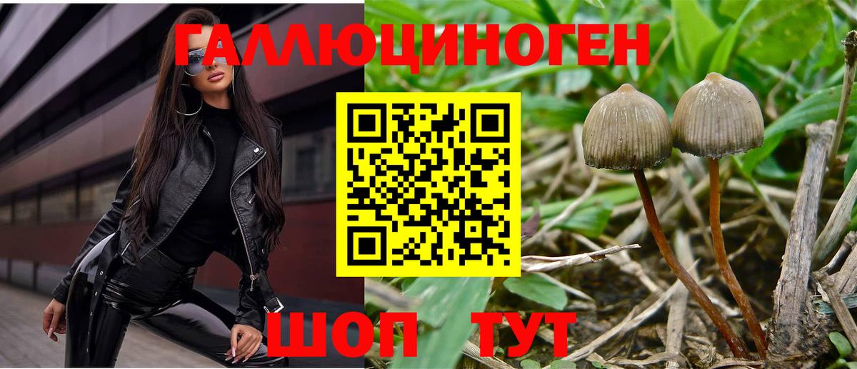 Псилоцибиновые грибы Psilocybe  Вход с VPN  дарнет шоп  Солнечногорск 