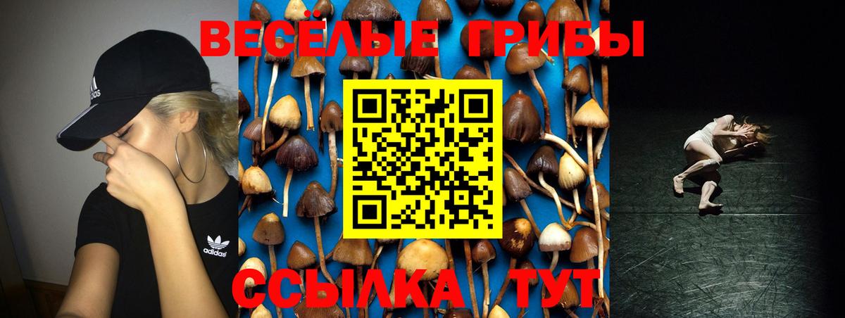 Галлюциногенные грибы GOLDEN TEACHER Солнечногорск